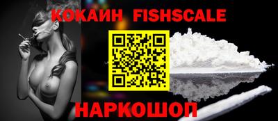 гидра Будённовск