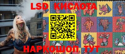 гидра Будённовск