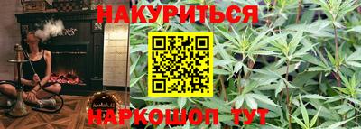 гидра Будённовск