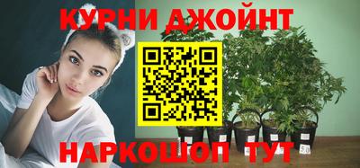 гидра Будённовск