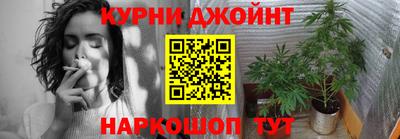 гидра Будённовск