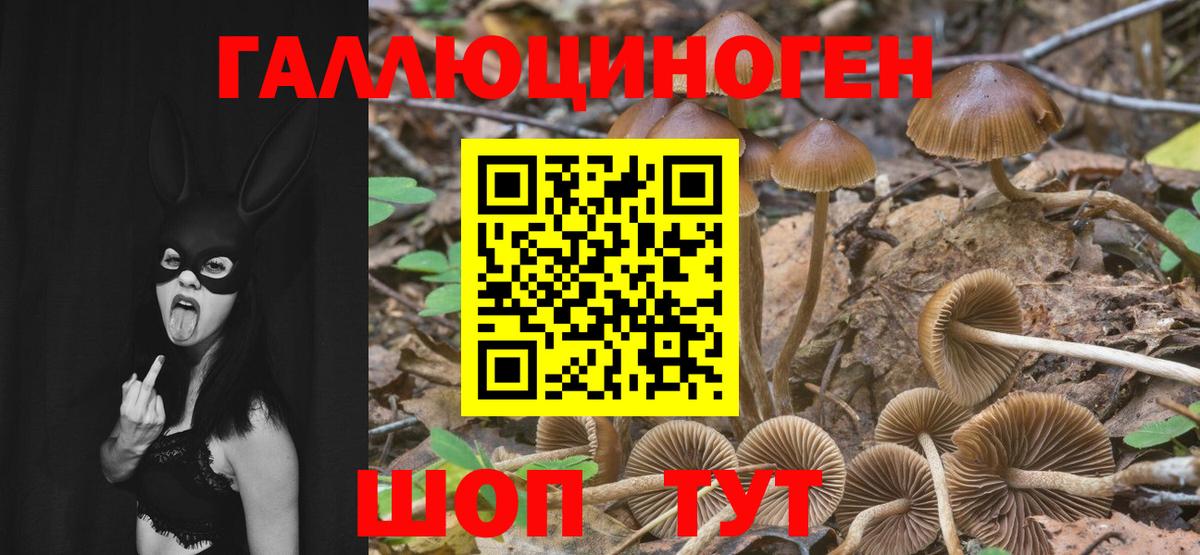 Псилоцибиновые грибы GOLDEN TEACHER  Псилоцибиновые грибы MAGIC MUSHROOMS  Реутов  Вход с VPN 