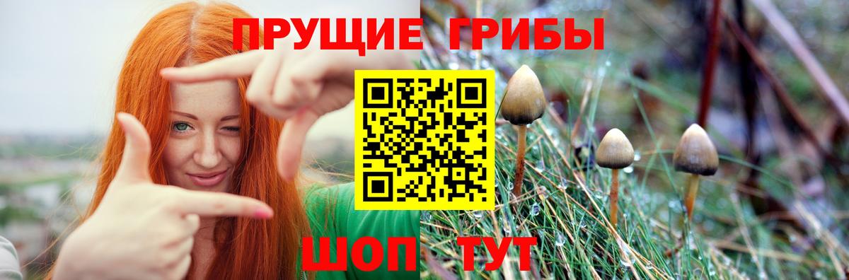 Галлюциногенные грибы Magic Shrooms Реутов